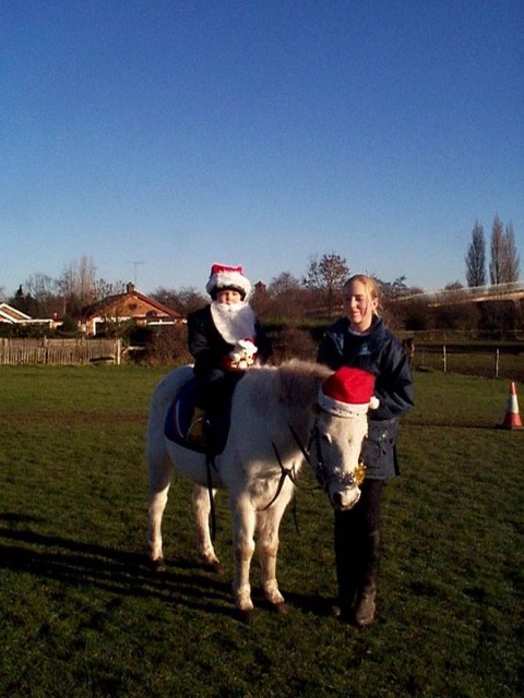 xmas0119.JPG