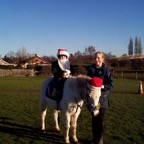 xmas0119.JPG