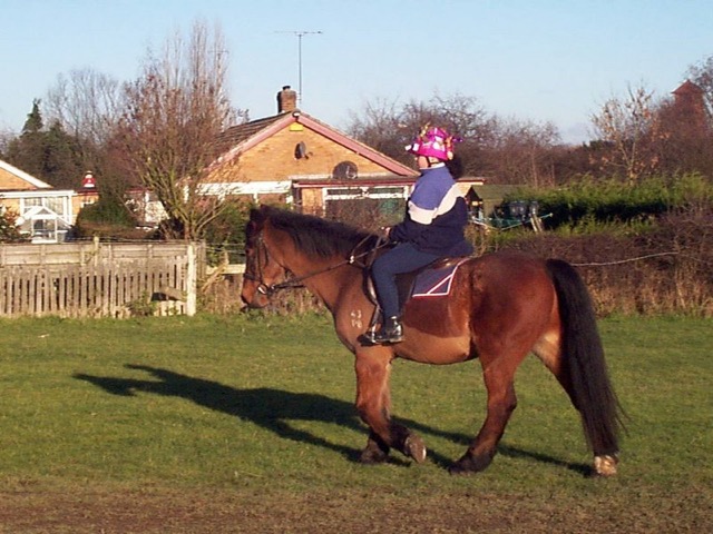 xmas0122.JPG
