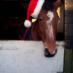 xmas0137.JPG