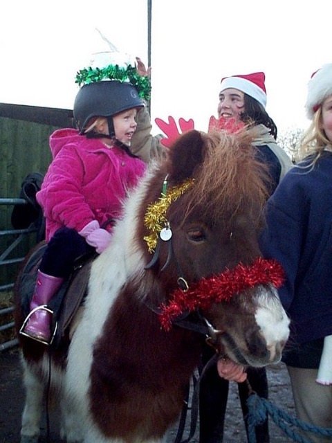 xmas0143.JPG