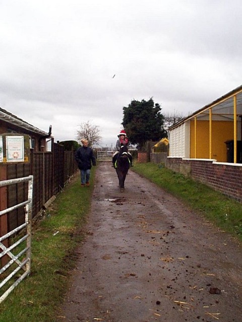 xmas0149.JPG
