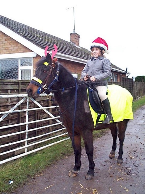 xmas0150.JPG