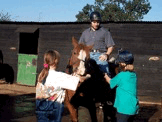stables01